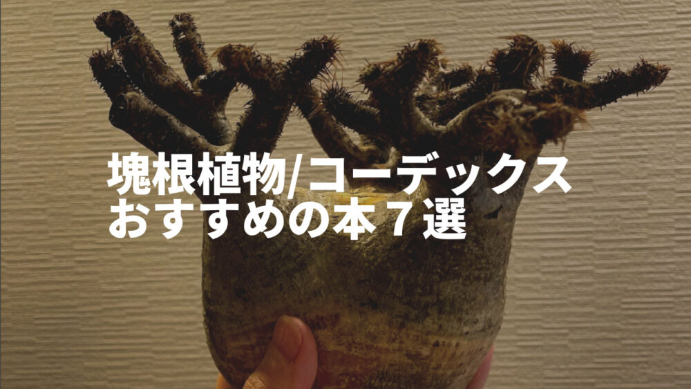 塊根植物/コーデックスのおすすめの本を紹介｜珍奇植物、アガベ好きにもおすすめ！