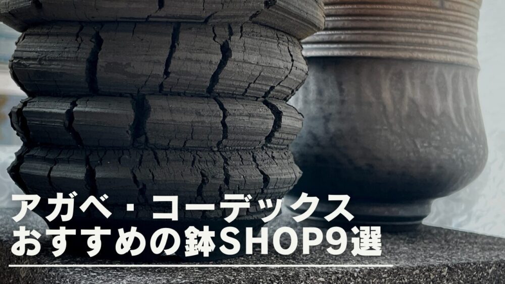 【おすすめ9選】アガベとコーデックス好き必見！鉢販売ショップをご紹介！